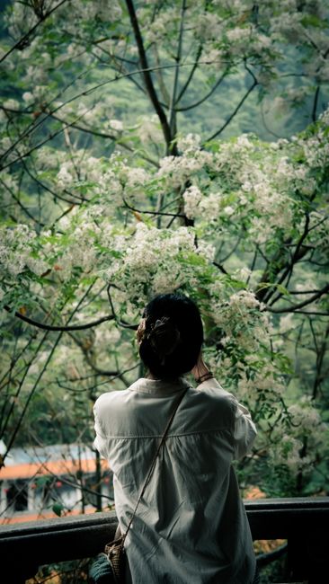 细节特写